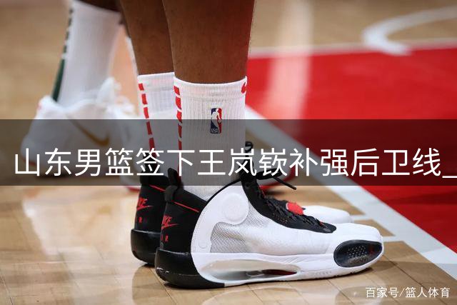 山东男篮签下王岚嵚补强后卫线 双方诚意促成合作